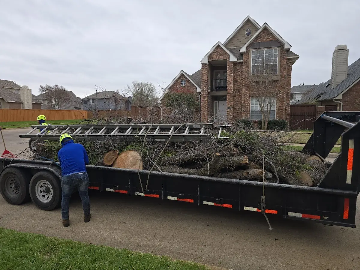 Expert Tree Fertilization with proper safety equipment in Latah